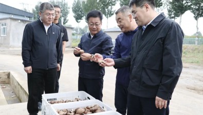 辽宁省北票市委书记丁文举调研全市食用菌产业发展情况