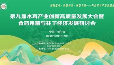 相约哈尔滨|第九届木耳产业创新高质量发展大会火热招商进行中