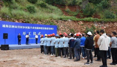 云南通海县纳家营村乡村振兴食用菌种植基地建设项目开工