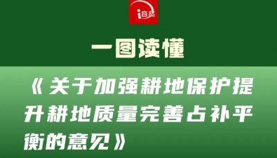 一圖讀懂《關(guān)于加強(qiáng)耕地保護(hù)提升耕地質(zhì)量完善占補(bǔ)平衡的意見(jiàn)》