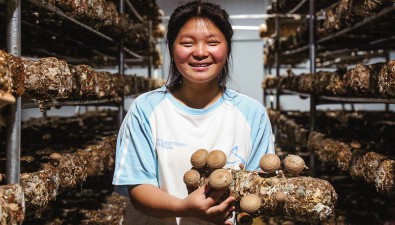 陜西丹鳳縣：食用菌全產業鏈年產值4.7億元