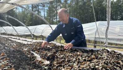 王云峰：食用菌产业的“乡土专家”