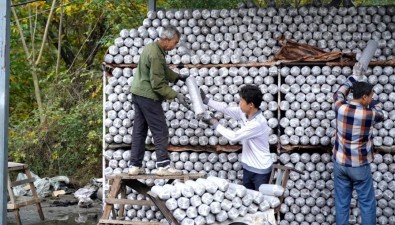 佛爺壩村食用菌棒加工基地：帶動100多名村民就近務工