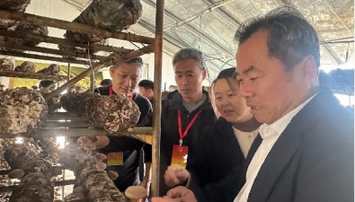 山东惠民县：人大常委会视察全县食用菌产业发展情况