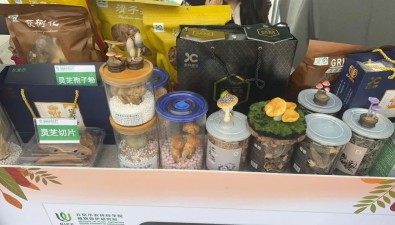 北京發展林菌經濟，開發森林食物資源