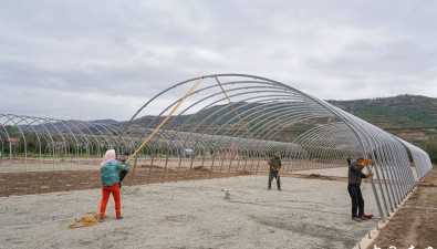 甘肅秦安：蔡河村食用菌基地，20座食用菌大棚建設加速