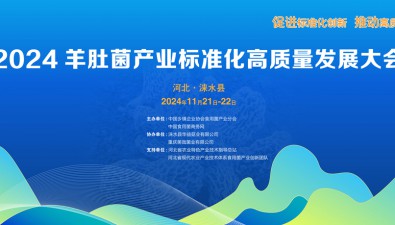 【最新日程】2024羊肚菌產業標準化高質量發展大會即將啟幕