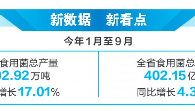 102.92万吨、402.15亿元！云南食用菌产业质效双升