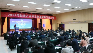 2024羊肚菌产业标准化高质量发展大会在河北省涞水县举办