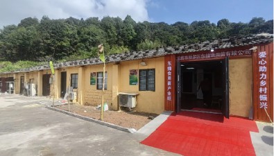 福建龍巖新羅區適中鎮將荒廢豬圈變成食用菌基地