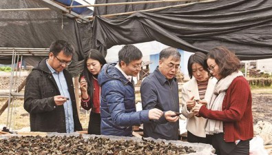 沪明对口合作，福建尤溪食用菌产业不断升级