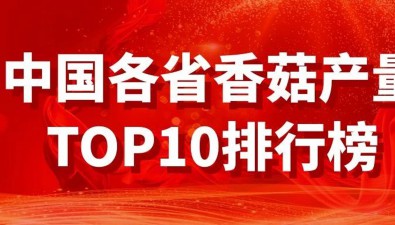 中國各省香菇產量TOP10排行榜