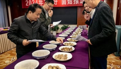 15個品種摘金！2024年“浙好”菌菇名單揭曉