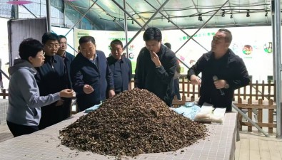 食用菌科普研學基地社會效益、經濟效益雙提升