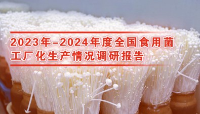 2024年中國食用菌商務網多項成果引領行業發展