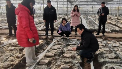 湖北省食用菌专家赴黄冈开展羊肚菌生产调研和技术指导