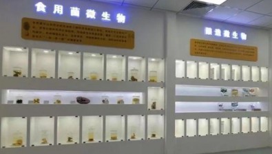 山西農大食用菌種質資源中心實驗室：為食用菌產業(yè)發(fā)展尋徑育寶