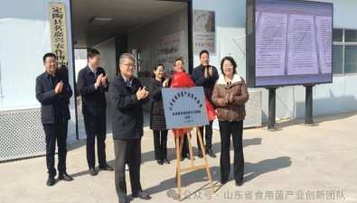 揭牌！山東省食用菌產業技術體系在定陶建高效栽培示范基地