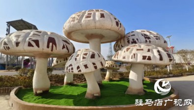 河南泌陽縣花菇博物館正式對外開放