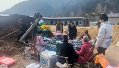 陕西山阳县：食用菌生产有序进行中