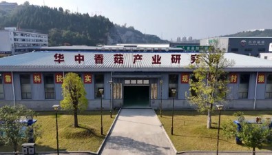 十堰昌欣香菇：打造科技创新示范基地