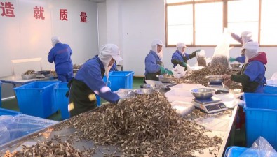 金唐（福建）健康科技公司：订单累计达35万袋，同比增长约35%