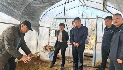 北京房山区委领导调研观摩食用菌团队林下经济示范园区