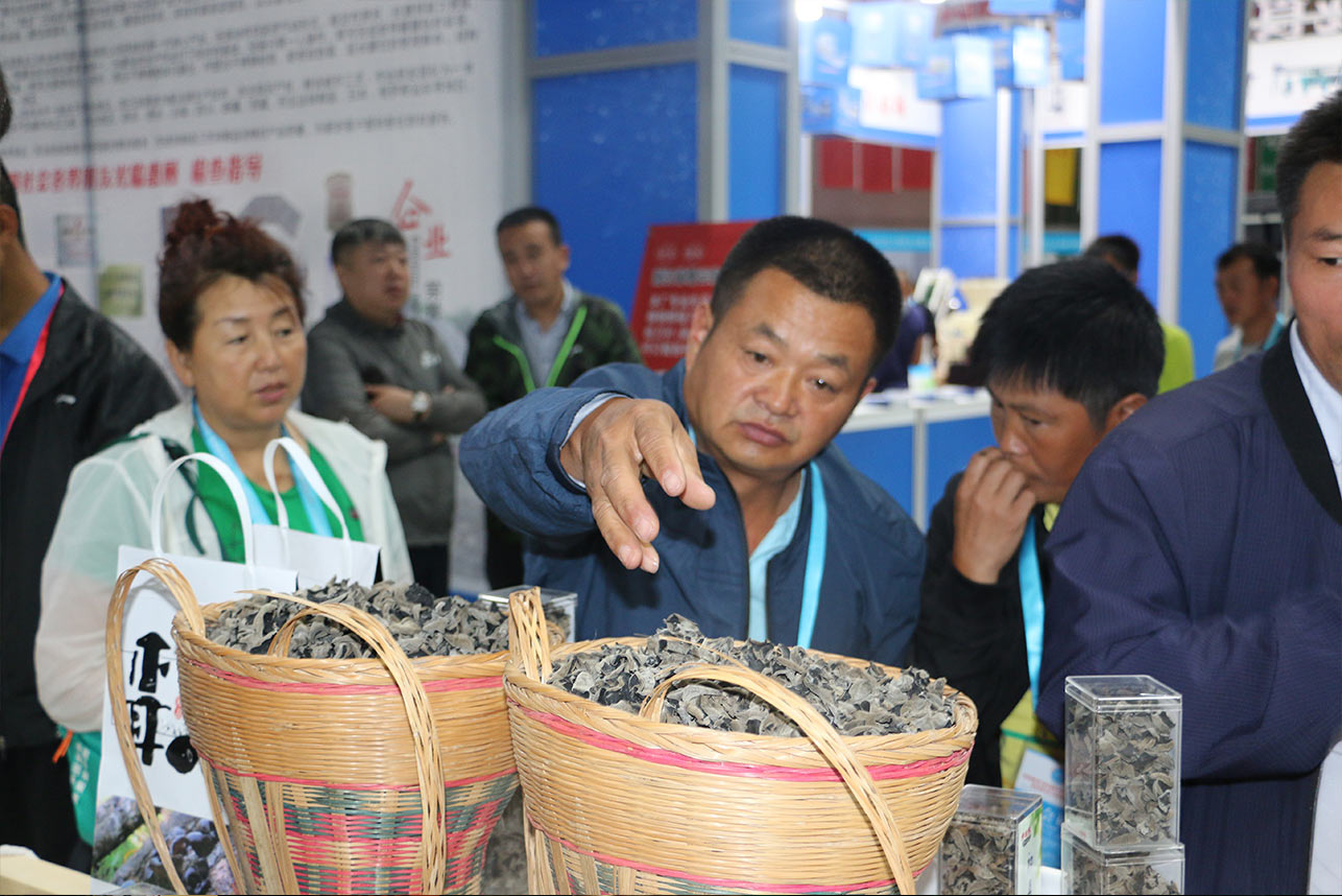 贵龙机械 第三届全国黑木耳产业创新发展大会暨食用菌与林下经济